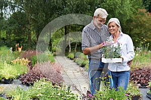 Mature Couple Shopping For Plants At Garden Center