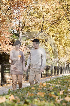 Mature Couple Talking a Walk in the Park