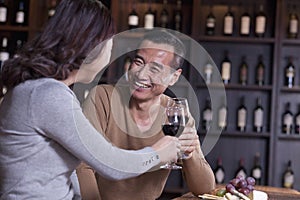 Mature Couple Toasting and Enjoying Themselves Drinking Wine, Focus on Male