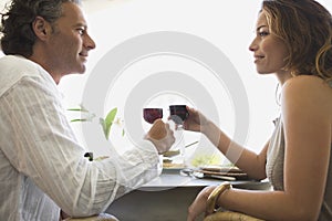 Mature Couple toasting and having lunch. photo
