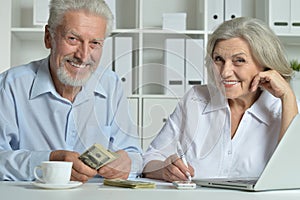 Mature couple using laptop