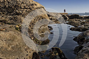 Mature couple walking on the beach with rocks and seaweed. estoril portugal.