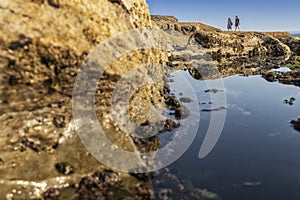 Mature couple walking on the beach with rocks and seaweed. estoril portugal.