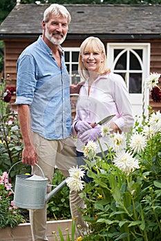 Portrait Of Mature Couple Working In Flower Beds In Garden At Home photo