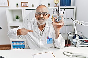 Mature doctor man holding model of human anatomical skin and hair pointing finger to one self smiling happy and proud