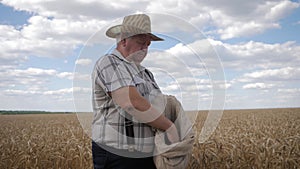 Mature farmer man standing in a wheat field during harvesting, he controls the harvesting process. Hands of adult farmer