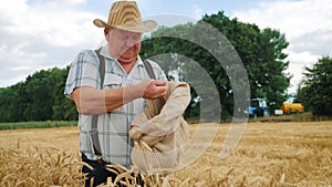 Mature farmer man standing in a wheat field during harvesting, he controls the harvesting process. Hands of adult farmer