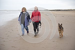 Mature female couple laughing and holding hands walking along the beach