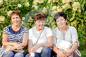 Mature Female Friends Socializing In Backyard Together