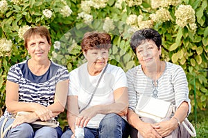 Mature Female Friends Socializing In Backyard Together