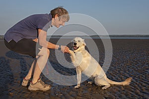 Mature female playing with young golden retriever dog on a beach at sunset