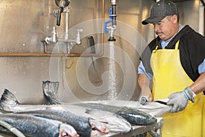 Mature fishmonger washing fish under tap water