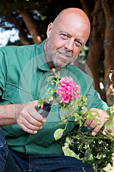 mature gardener cutting flowers in garden