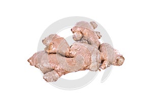 Mature ginger root isolated on white background