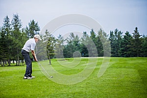 Mature Golfer on a Golf Course