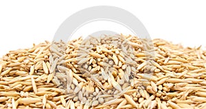 Mature grains of wheat in a peel