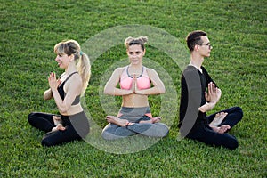 Mature healthy people doing yoga at park. Group people exercising on green grass.