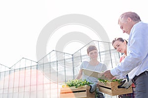 Mature male biochemist discussing with female botanists against clear sky