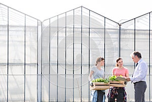 Mature male biochemist discussing with female coworkers against greenhouse