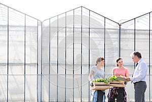 Mature male biochemist discussing with female coworkers against greenhouse photo