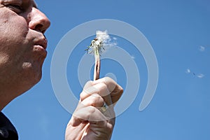 Mature male blowing dandelion seeds