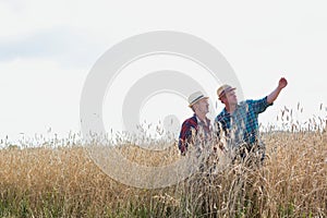 Mature male farmer showing showing wheat corp to senior farmer in field