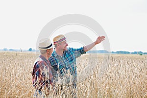 Mature male farmer showing showing wheat corp to senior farmer in field photo