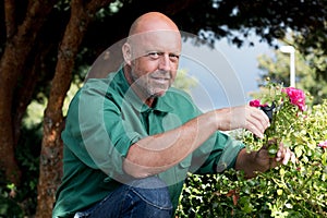 mature male florist cutting flowers outdoors