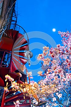 Mature man in city garden