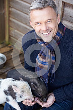 Mature Man Feeding Pet Micro Pig