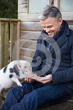 Mature Man Feeding Pet Micro Pig