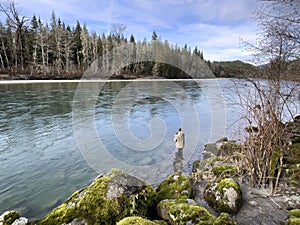 Mature man fly fishing the Sauk river in Washington state Cascades during lovely day in the winter season for trout