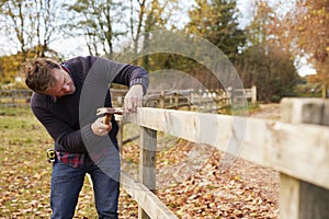 Mature Man Hammering Nail Into Repaired Fence