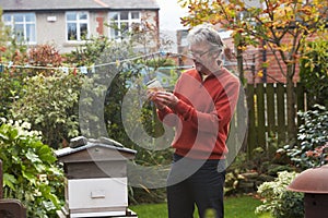Mature Man Looking At Honey Produced By His Own Bees photo