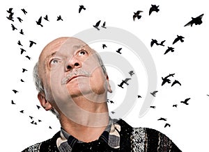 Mature man looking up on flying birds