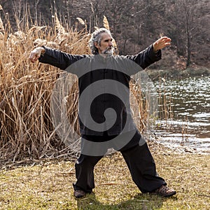 Mature man practicing Tai Chi discipline outdoors