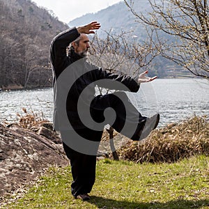 Mature man practicing Tai Chi discipline outdoors