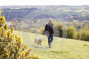 Mature Man Taking Golden Retriever For Walk In Countryside