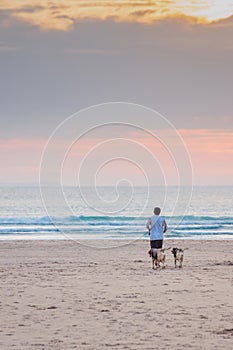 Mature man walking in sand with dogs