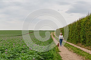 Mature Mexican woman with her dog on a dirt road next to a potato farm field