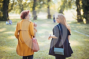 Mature mother and adult daughter enjoying a day in the park