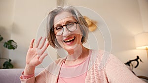 Mature old 60s woman, older middle aged female customer making video call meeting looking at camera smiling while