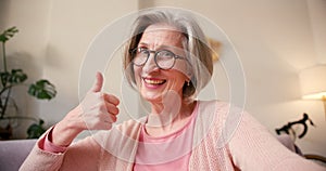 Mature old 60s woman, older middle aged female customer making video call meeting looking at camera smiling while