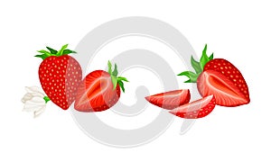 Mature Red Strawberry Whole and Half with Leaves and Blossom Vector Set