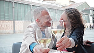 Mature smiling couple toasting white wine glasses to the camera. Middle aged married people drinking alcohol on a bar