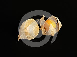 Mature Tomatillos/Physalis