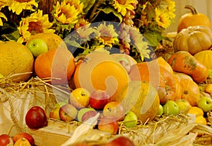 Mature vegetables. Gifts of fall. Pumpkins, apple. Background