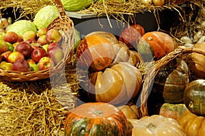 Mature vegetables. Gifts of fall. Pumpkins, apple. Background