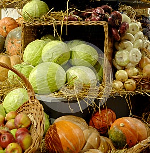 Mature vegetables. Gifts of fall. Pumpkins, cabbage, onions, apple. Background