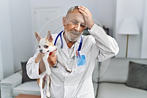 Mature veterinarian man checking dog health stressed and frustrated with hand on head, surprised and angry face